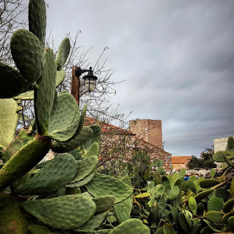 Katafigi Apartment Pírgos Dhiroú Bagian luar foto